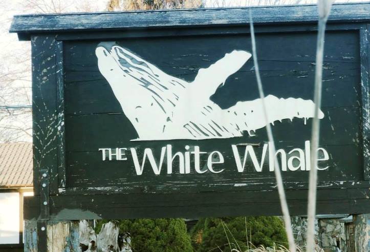 the-white whale